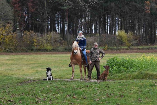 Seminar Reitbegleithund
