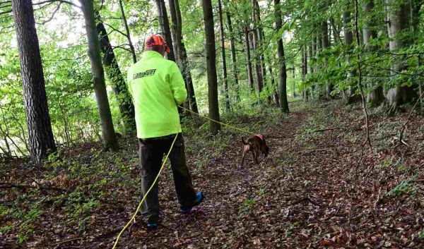 Fährtenarbeit mit Hund