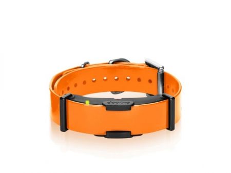 Dogtra Zusatzhalsband ARC 800