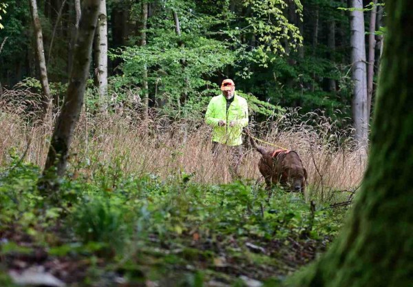 F-hrtenarbeit-Hundeservice-Peter-M-ller