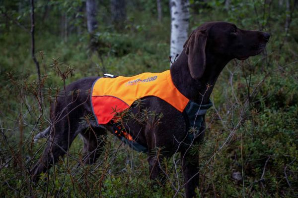 PROTECTOR VEST JAGDHUND