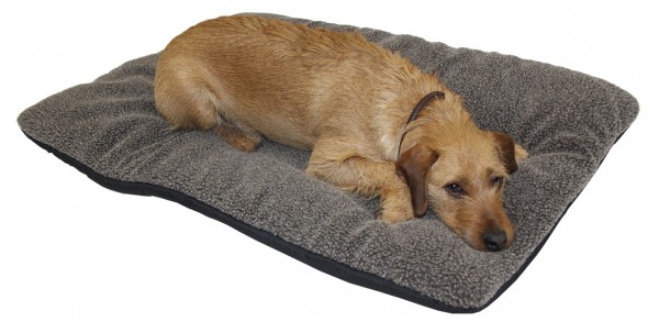 Hunde Thermobett