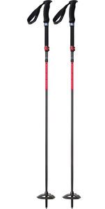 Backcountry Stöcke MSR Ascent